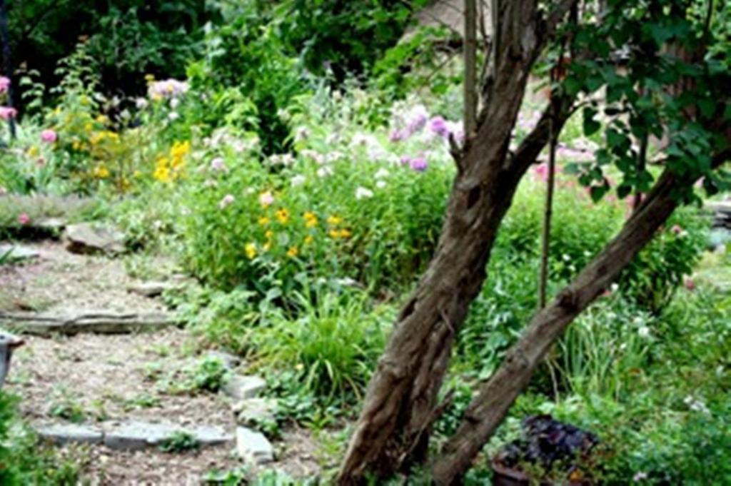 Burley'S Executive Garden Suite Peterborough Eksteriør billede